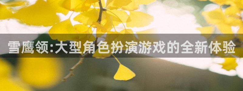 51动漫免费版下载：雪鹰领:大型角色扮演游戏的全新体验