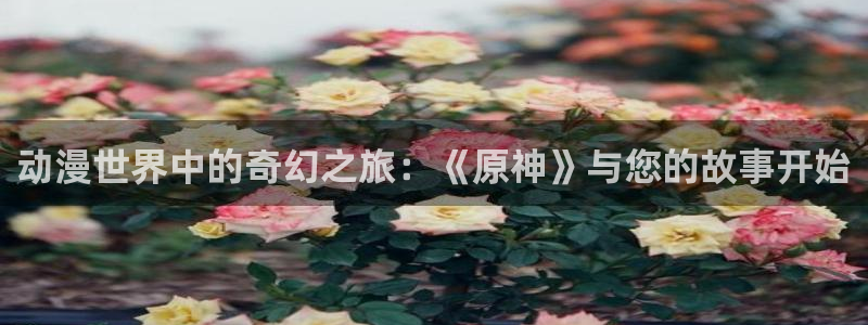 51动漫网在线：动漫世界中的奇幻之旅：《原神》与您的故事开始